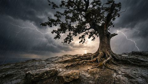 What AI Can’t Kill